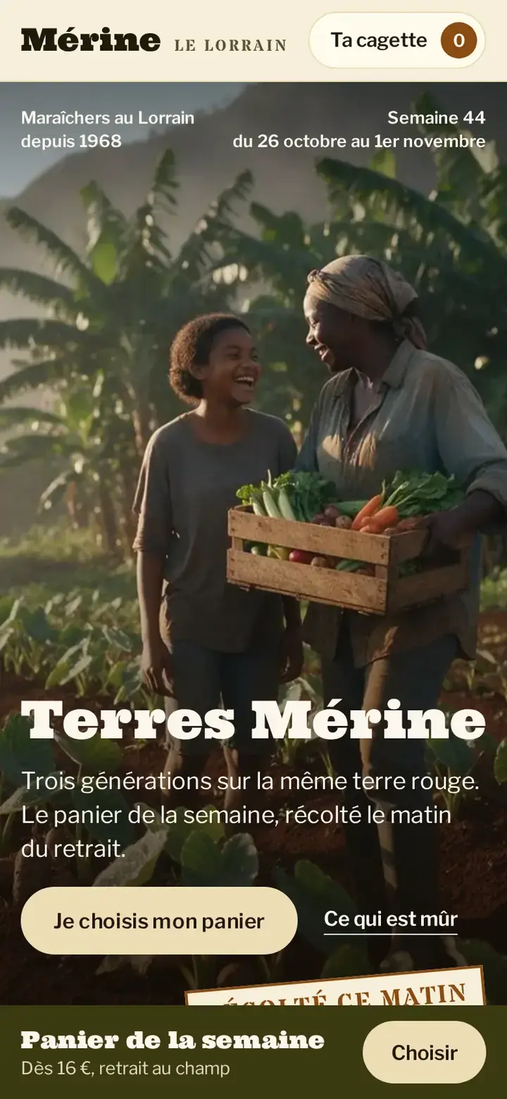 Bitasyon, déclinaison Savane, sur téléphone