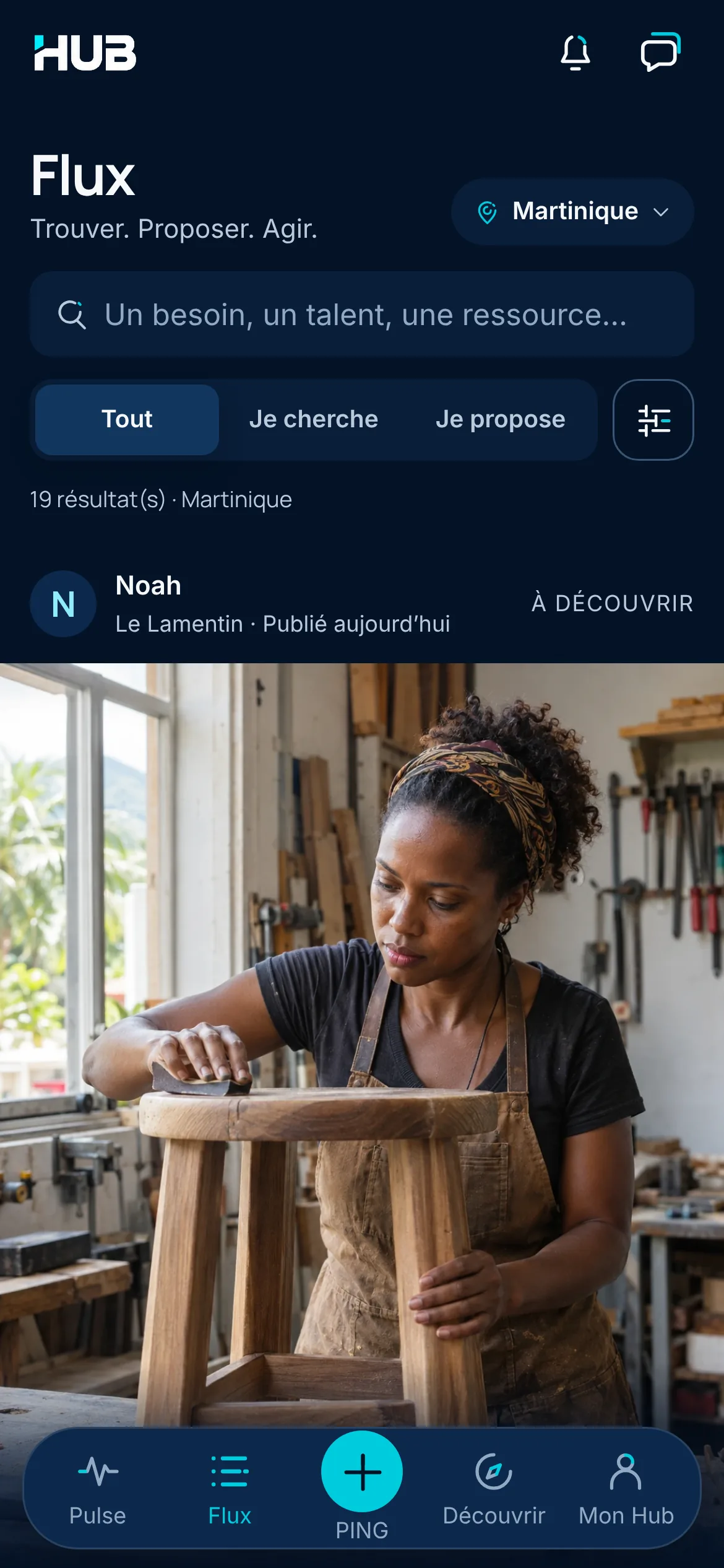 Flux dans HUB : une recherche, les filtres Tout, Je cherche et Je propose, et un PING d’ébéniste en Martinique.