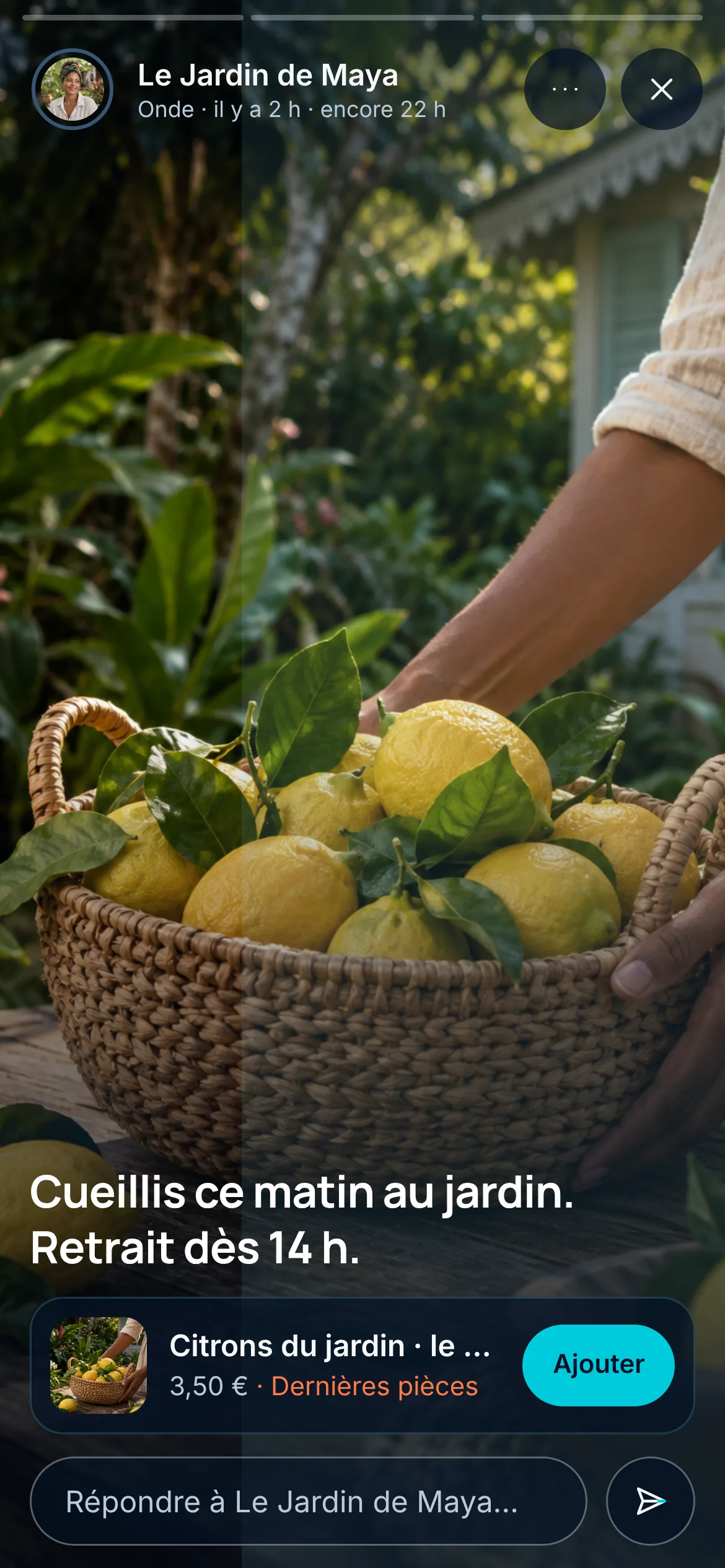 Une Onde du Jardin de Maya, publiée il y a 2 h et visible encore 22 h : « Cueillis ce matin au jardin. Retrait dès 14 h. », des citrons du jardin à 3,50 € à ajouter et un champ pour répondre.